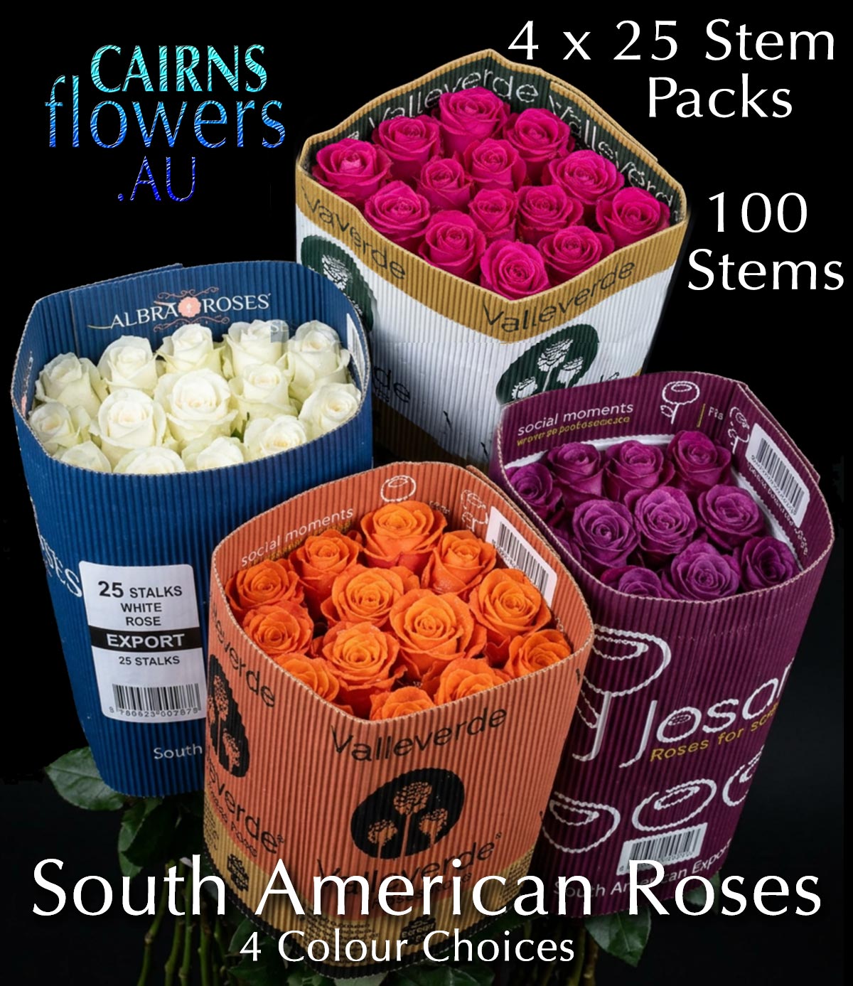 SOUTH AMERICAN ROSES