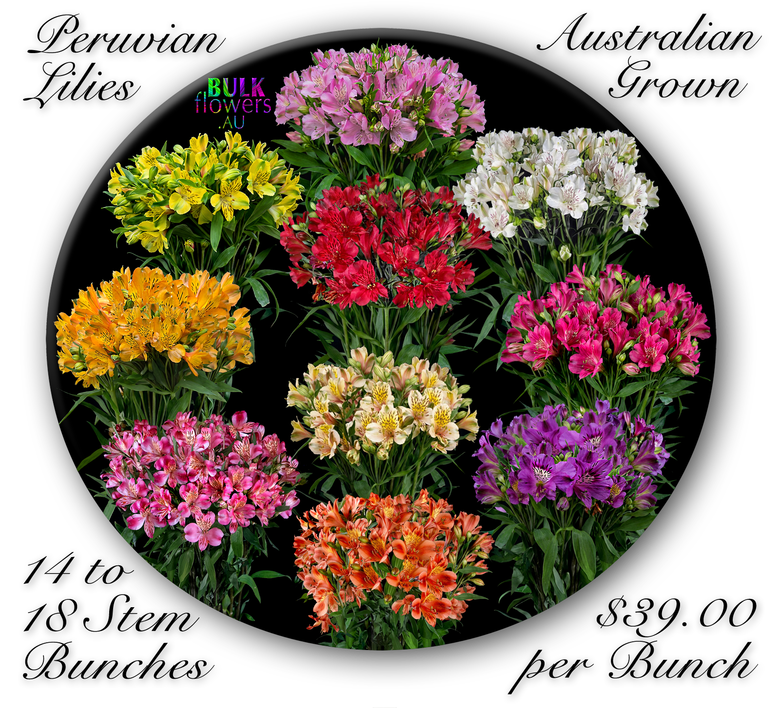 BULK FLOWERS