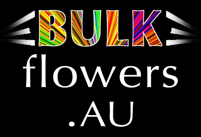 BULK FLOWERS NETWORK