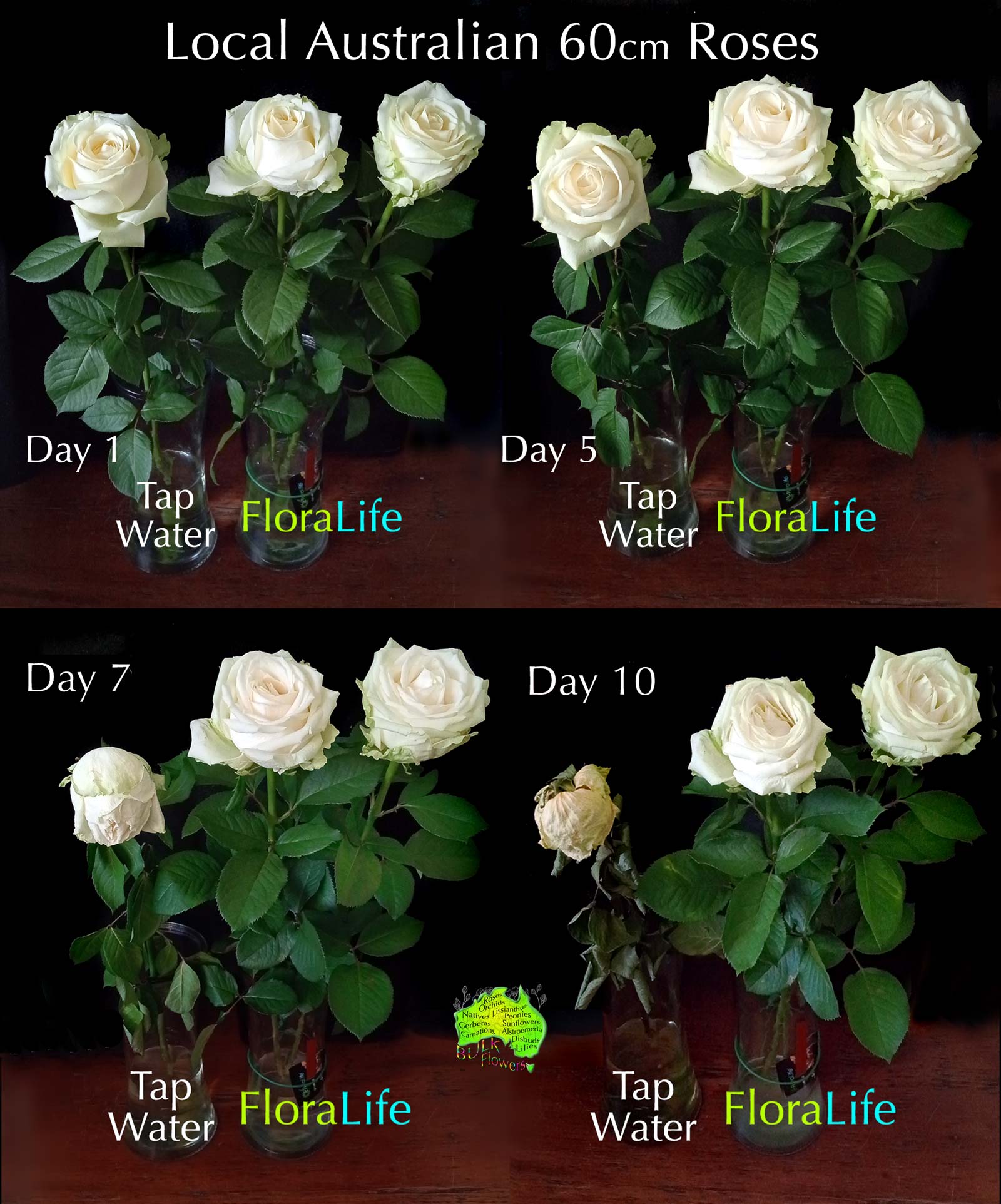 BULK FLOWERS